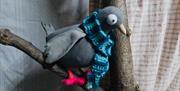 Pigeon with it's knitted scarf sits in the tree