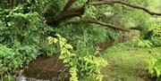 One of the gardens that will be open