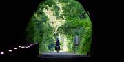 Two cyclists emerge from a long dark tunnel