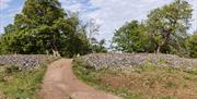 Footpath through the iron-age hillfort at Worlebury Woods, Weston-super-Mare