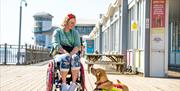 Lady in a wheelchair with her assistance dog