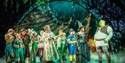 Cast of Shrek the Musical