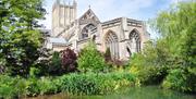 Wells Cathedral