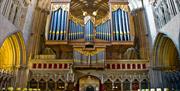 Wells Cathedral organ