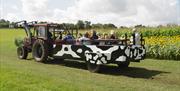 Court Farm ride on tractor pull sunflower field