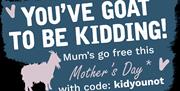 Mother's Day Graphic with Goat Kid