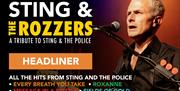Sting and the rozzers at Redstock Music Festival