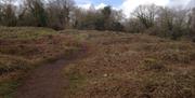 The ramparts leading to Worlebury Camp