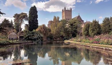 A lake with pretty floral borders and trees in the foreground with Wells Cathedral in the background