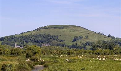 Brent Knoll Landscape