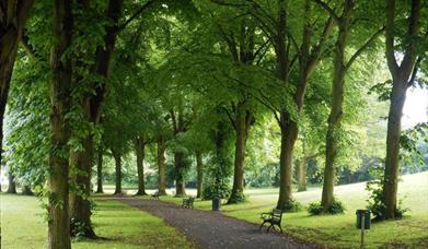 Ashcombe Park trees Weston-super-Mare avenue bench