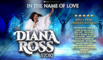 Diana Ross Story