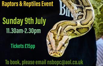 Poster with a snake's head on it advertising a raptors and reptiles event