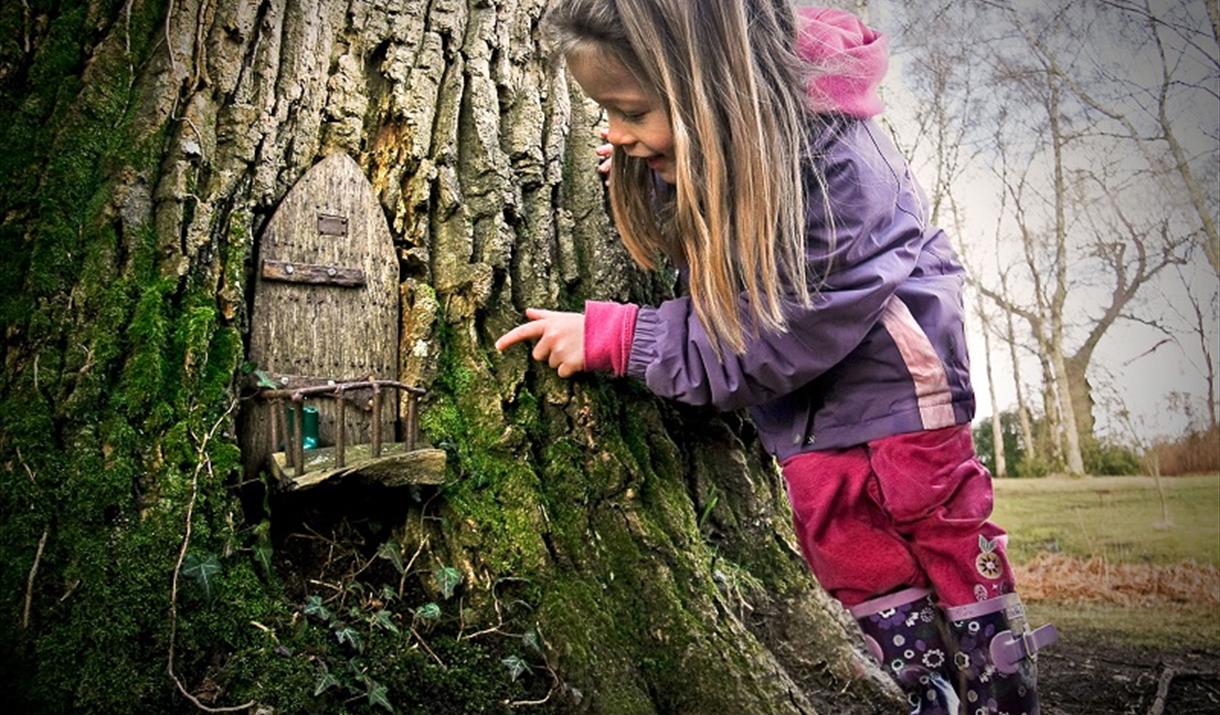 Young girl looks at little door in tree