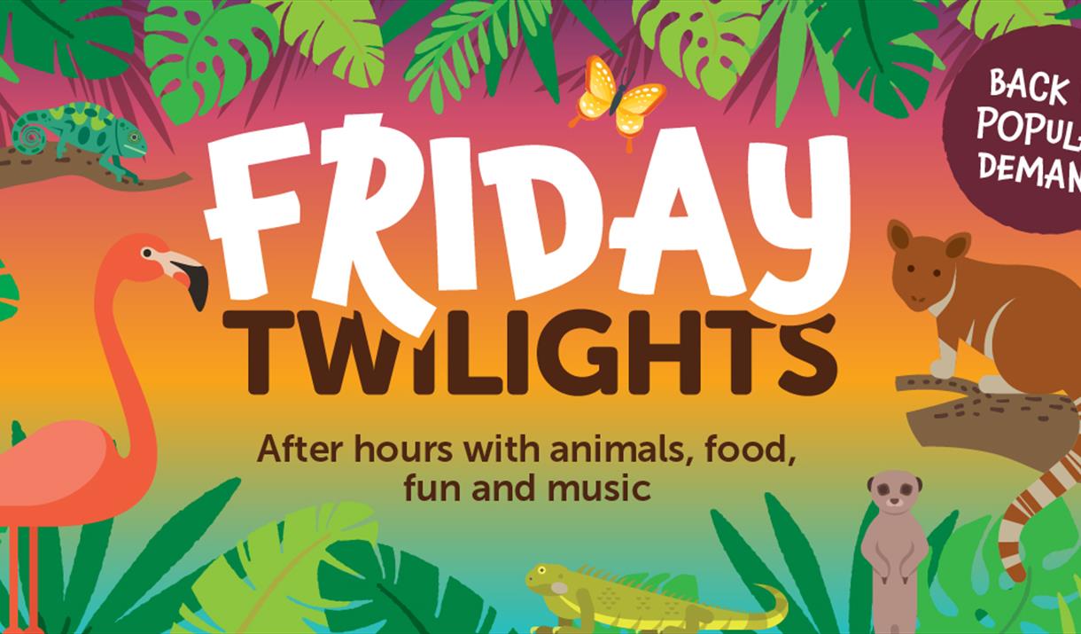 Friday Twilights at Bristol Zoo Gardens