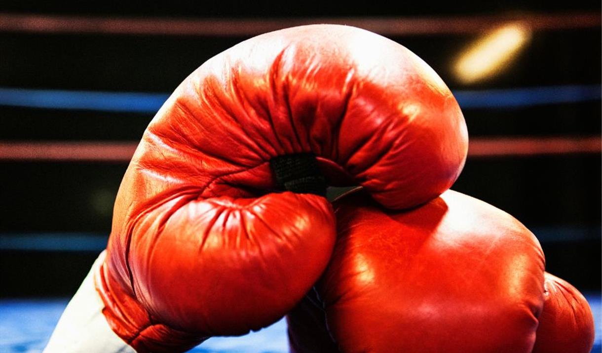 A pair of red boxing gloves in a boxing ring