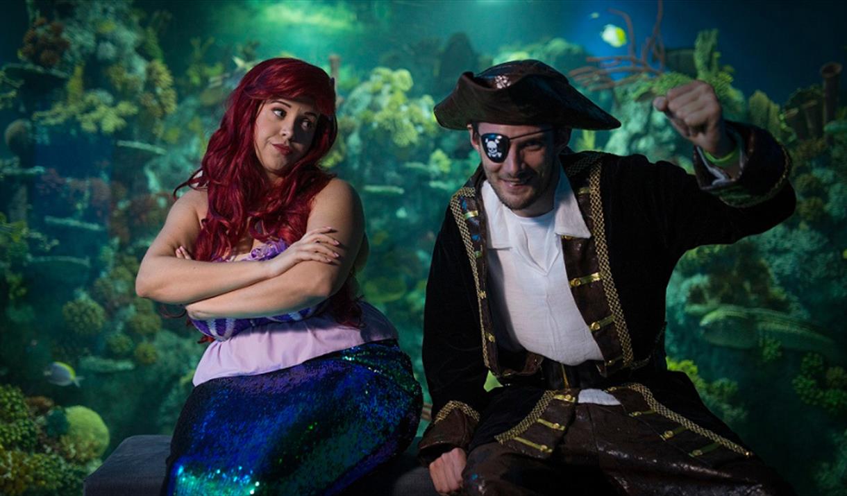 A pirate and a mermaid