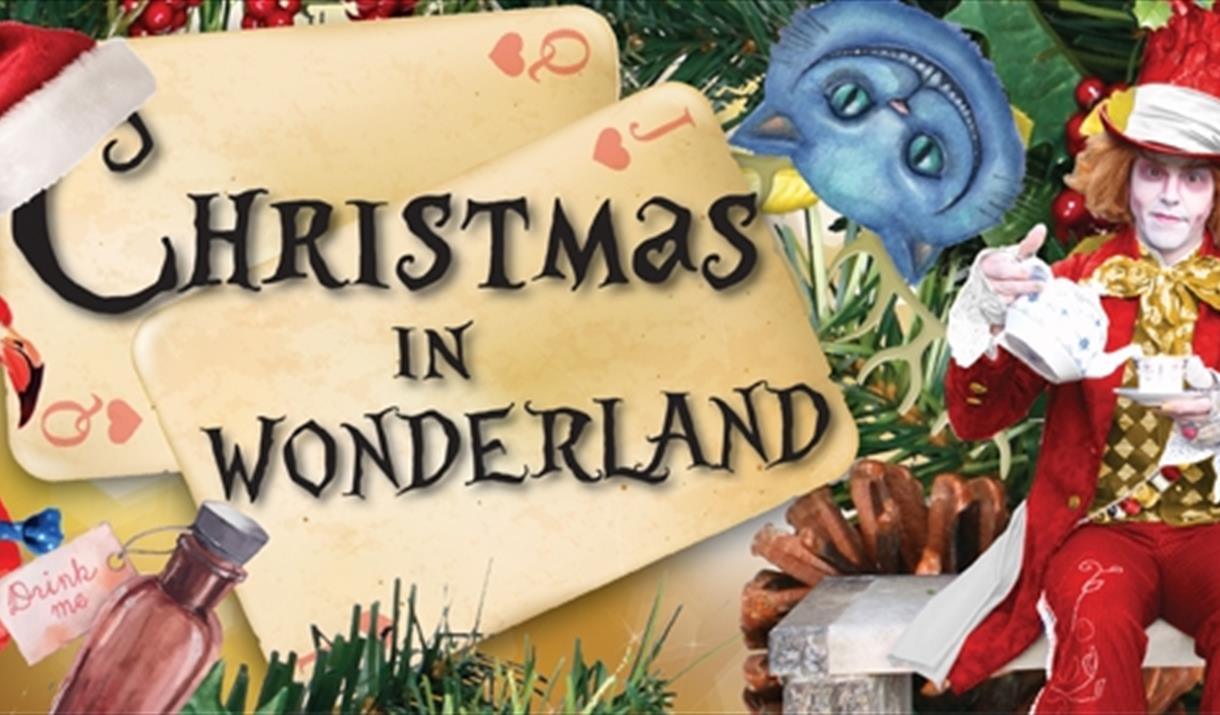 Wonderland Christmas Parties