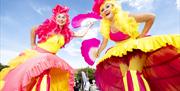 Two yellow and pink female stilt walkers against a blue sky