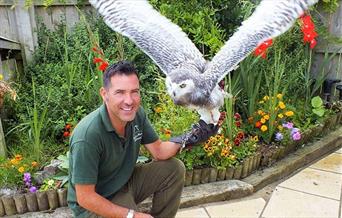 Conservation with Gary the Falconer and his Team at Puxton Park