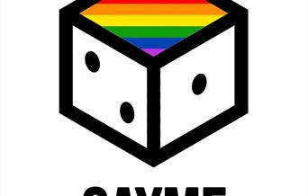 NSLGBT+ Forum GAYme Logo (Dice with Progress Rainbow Flag)