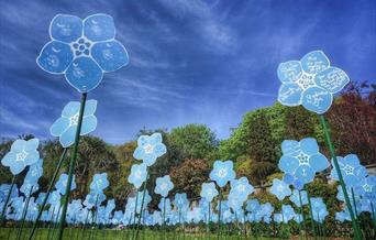 Display of commemorative plastic forget-me-nots honouring people who have passed.