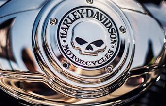 A shiny silver Harley Davidson motorbike badge with a skull embossed on it