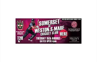 Somerset T20 V's WSM Cricket Cricket Club