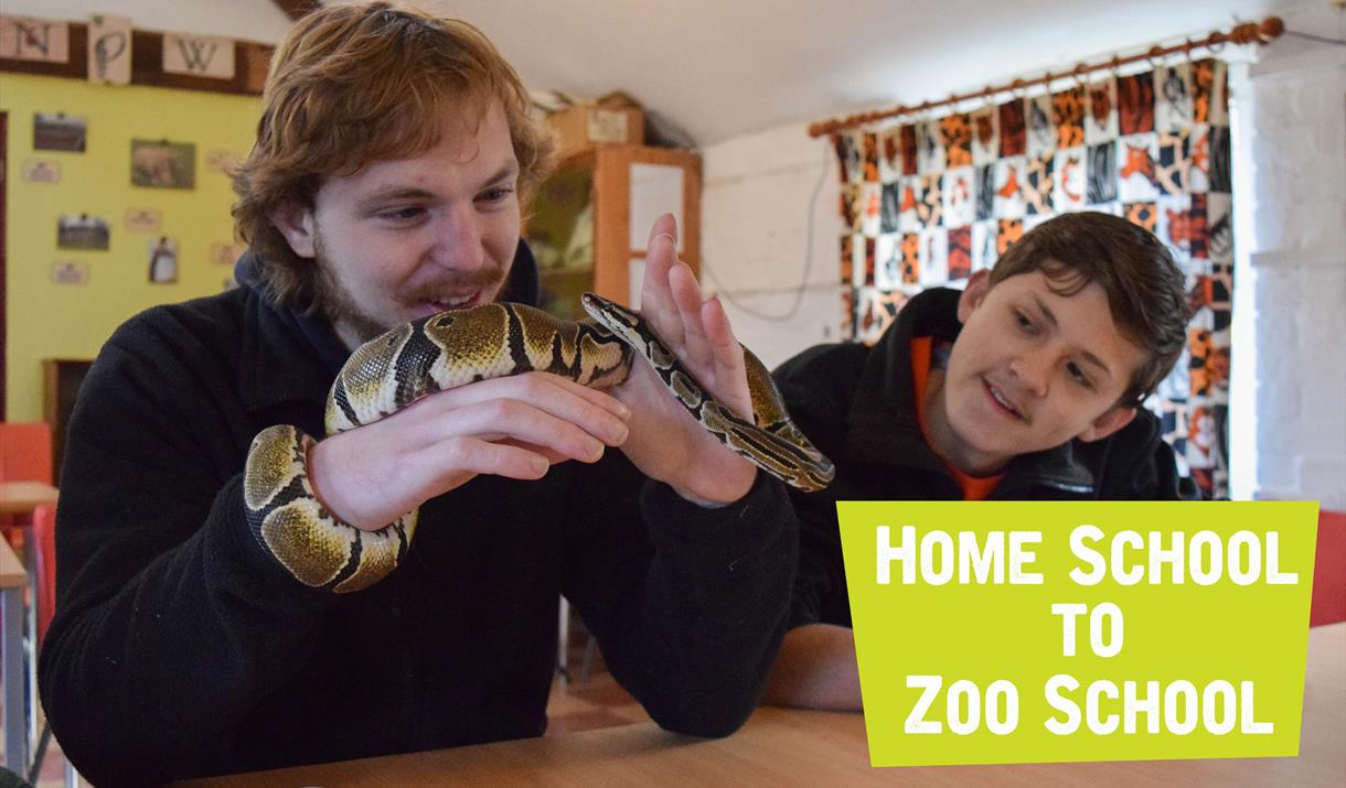 Home School to Zoo School