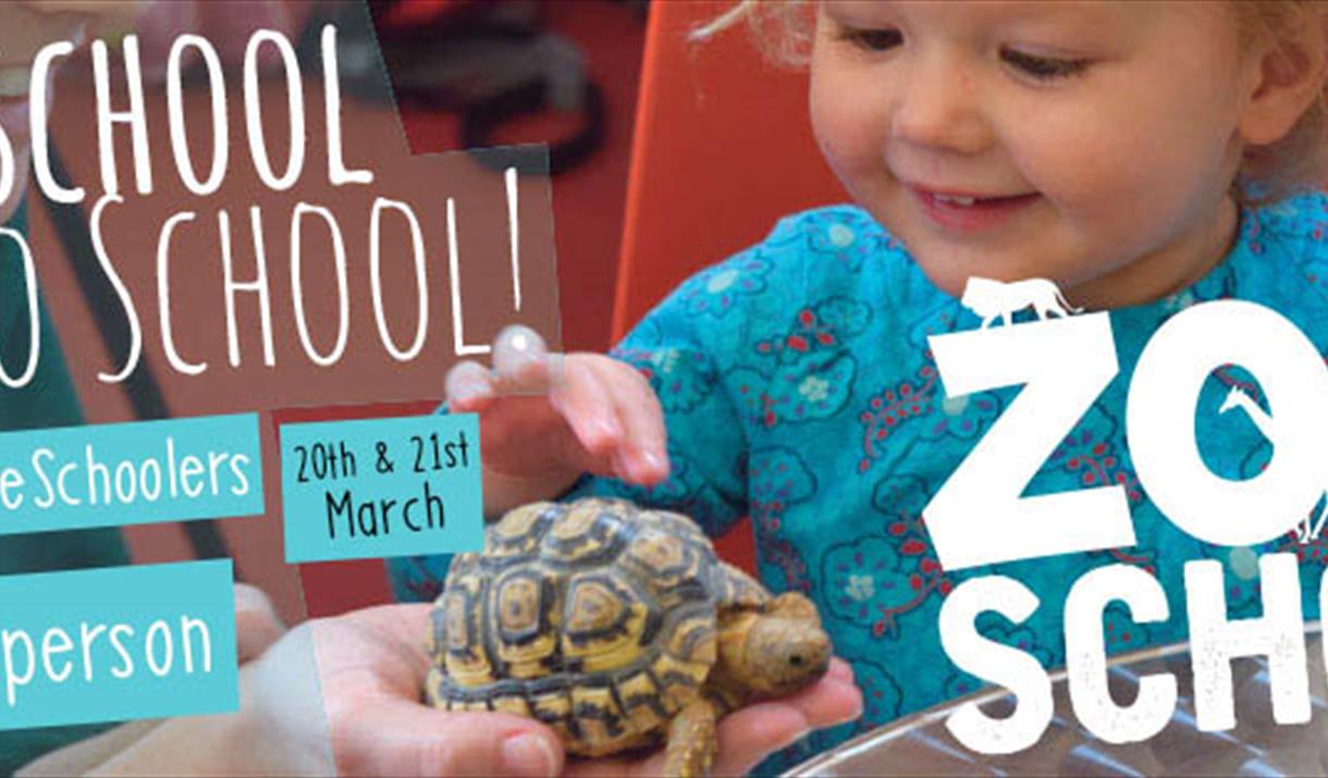 Home School to Zoo School