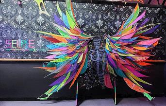 Multi colour feathered wings bigger than the average human