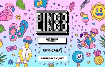 Cartoon-style colourful poster advertising Bingo Lingo