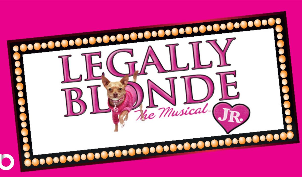 Legally Blonde Jr - the Musical Promo Image