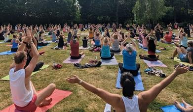 A large group of people sitting on mats doing yoga in a park