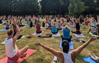 A large group of people sitting on mats doing yoga in a park