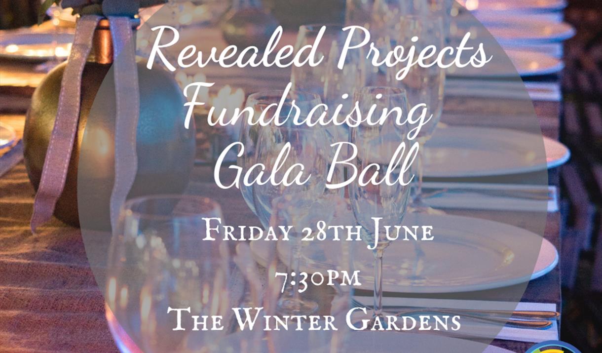 Revealed Projects Fundraising Gala Ball