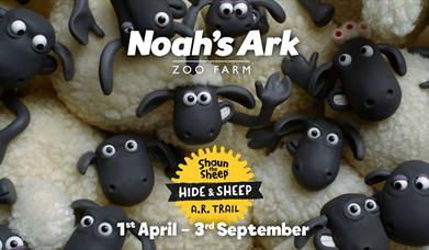 Noah's Ark Zoo Farm: Shaun the Sheep: Hide and Sheep Trail