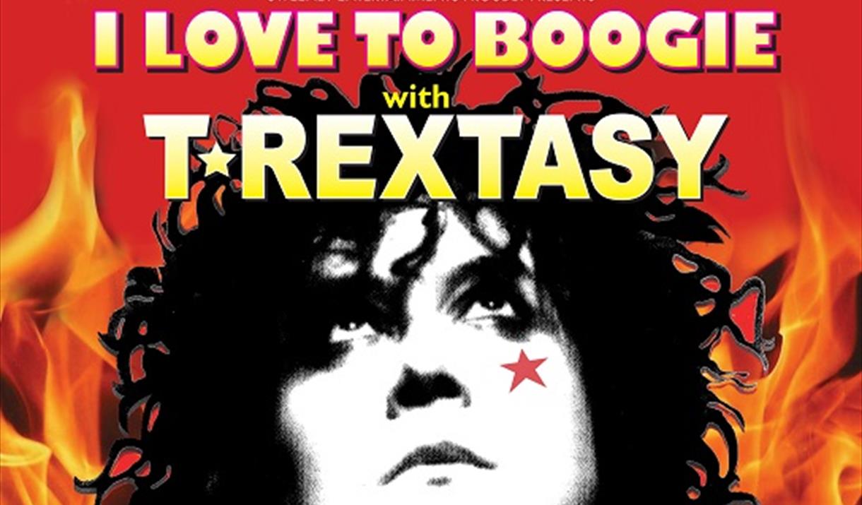 T Rextasy - I Love to Boogie