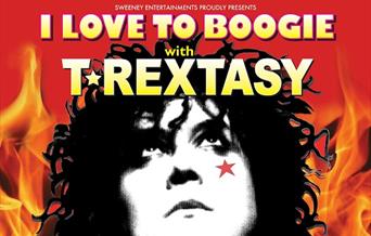 T Rextasy - I Love to Boogie