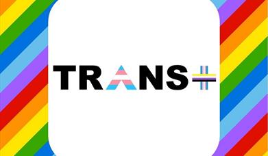 NSLGBT+ Forum Trans+ Logo