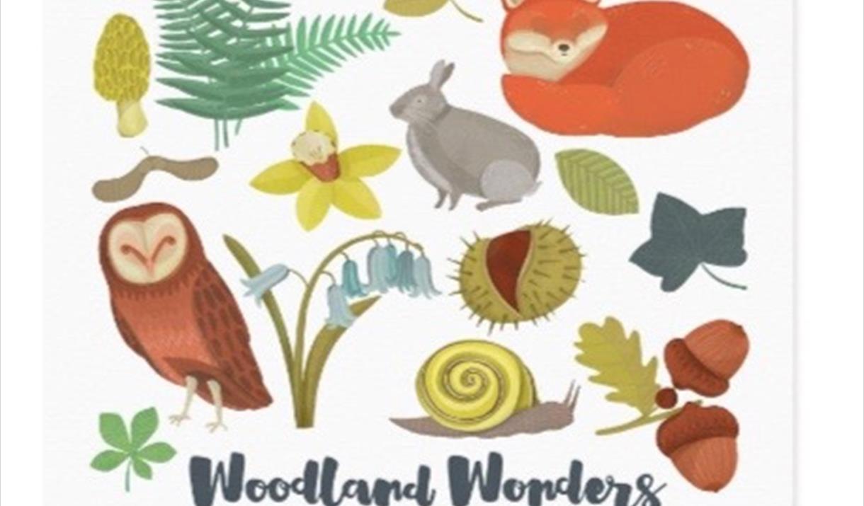 Woodland Wonders Family Fun Friday