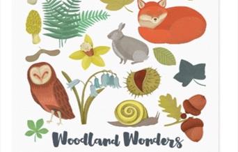 Woodland Wonders Family Fun Friday