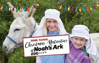 Home School Christmas Nativities at Noah's Ark