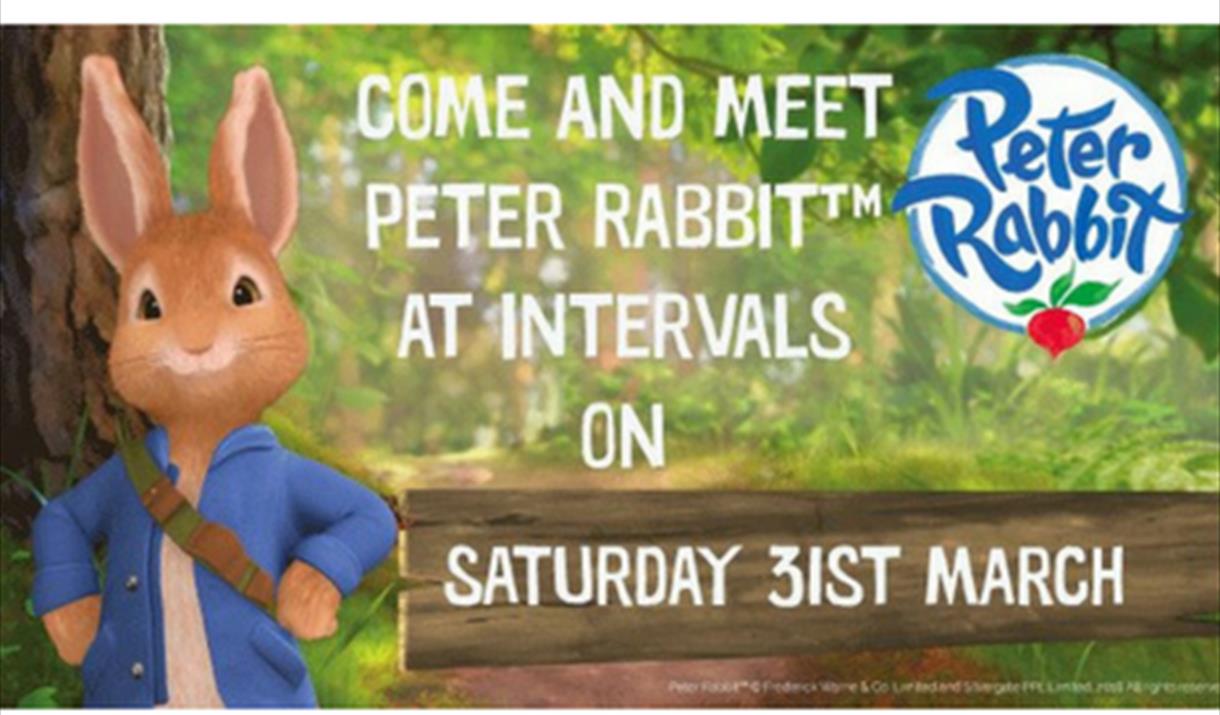 Peter Rabbit Meet and Greet