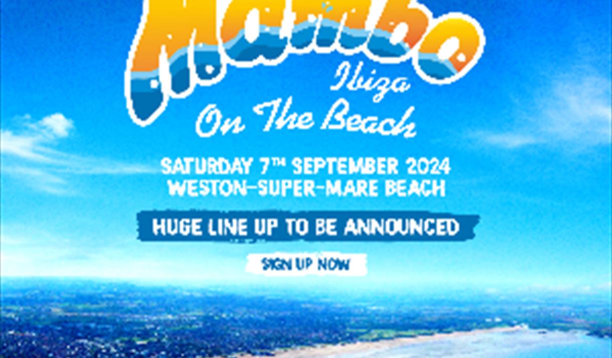 Aerial image of a beach on a flyer for a beach party