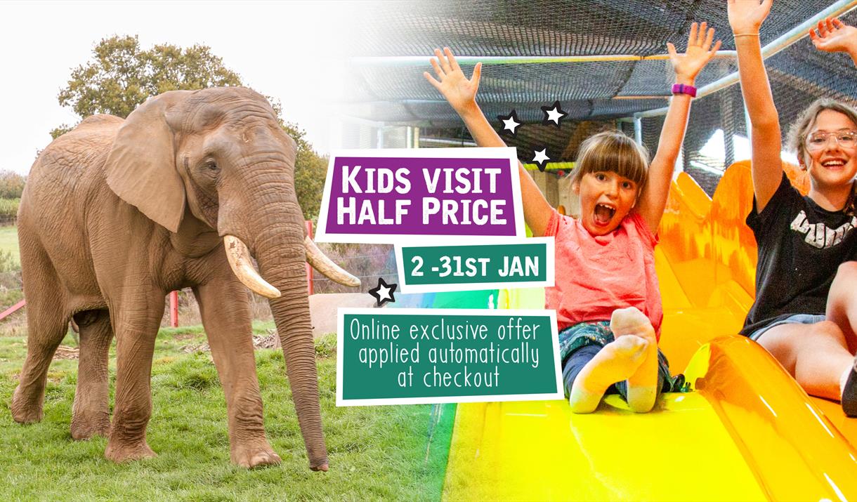 Kids Visit Half Price January