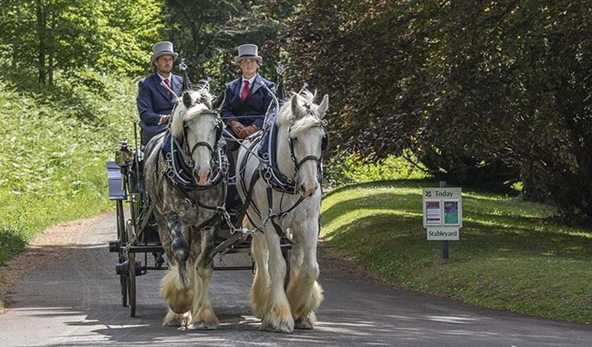 Victorian Horse and Carriage Rides at Tyntesfield