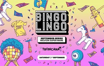 Cartoon style poster advertising Bingo Lingo