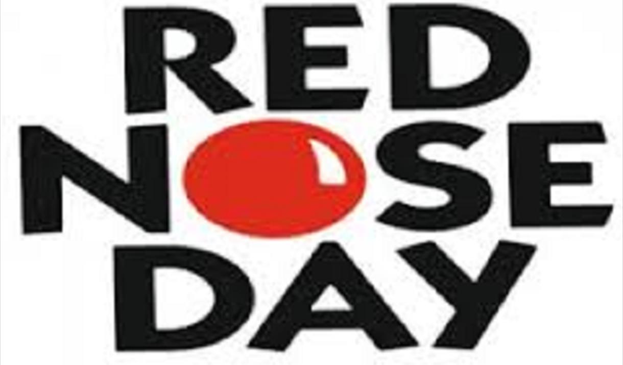 Red Nose Day at Puxton Park
