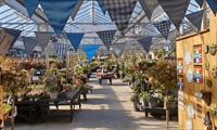 Blue bunting hangs across a large, sunny greenhouse filled with potted plants.